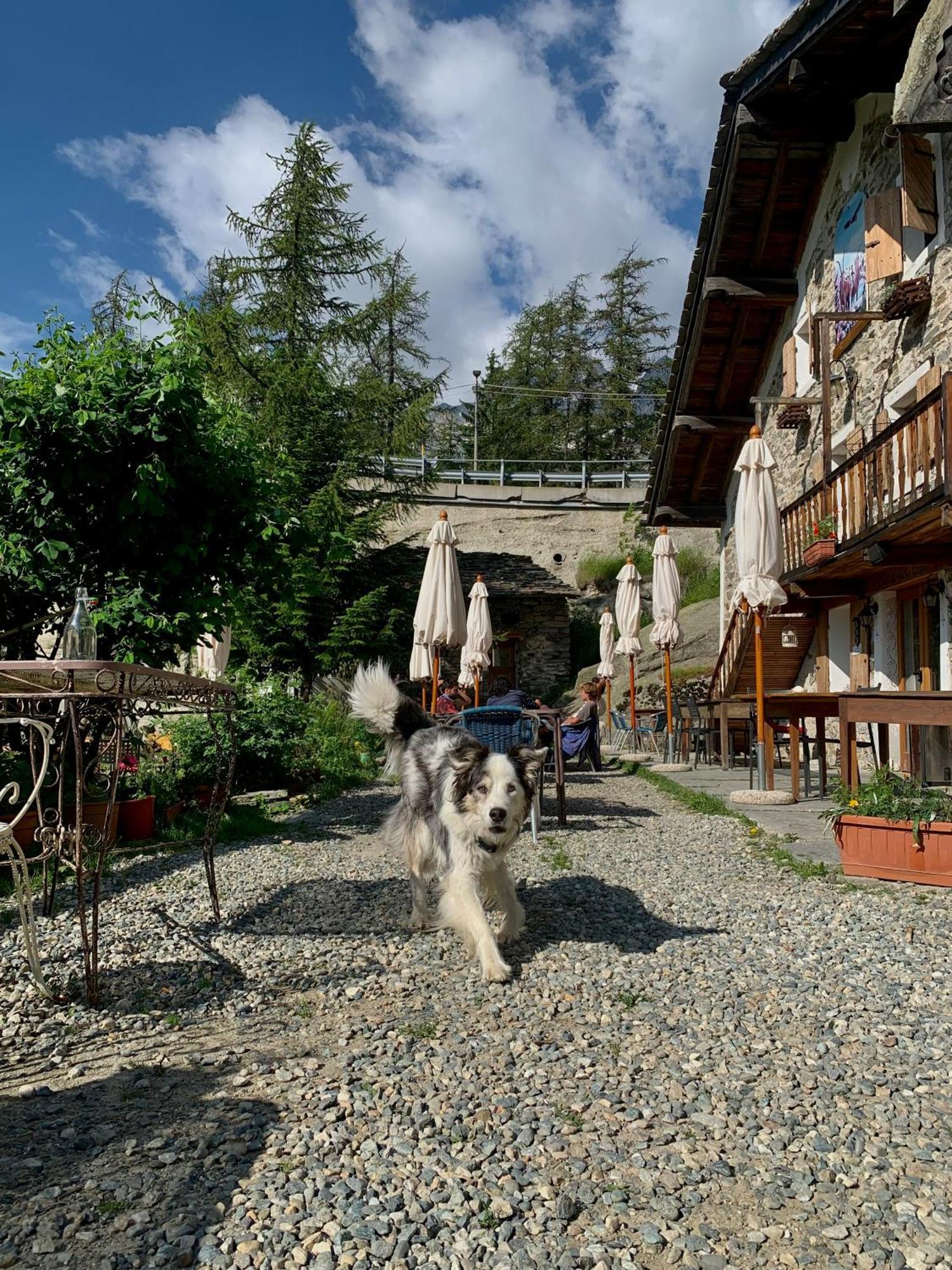Chalet del Lago Ceresole Reale Esterno foto